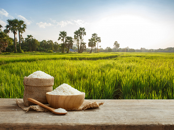 Frühstück nach Ayurveda. Informationen und Rezepte