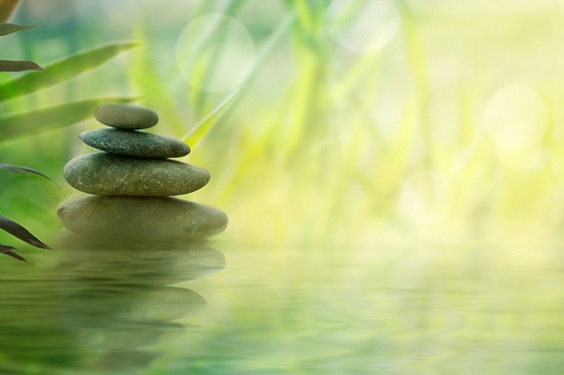 Grundlagen des Ayurveda